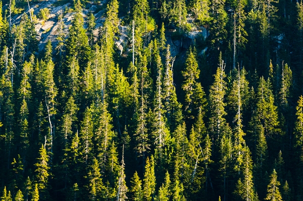 Spring Hiking Checklist Mountain Wilderness